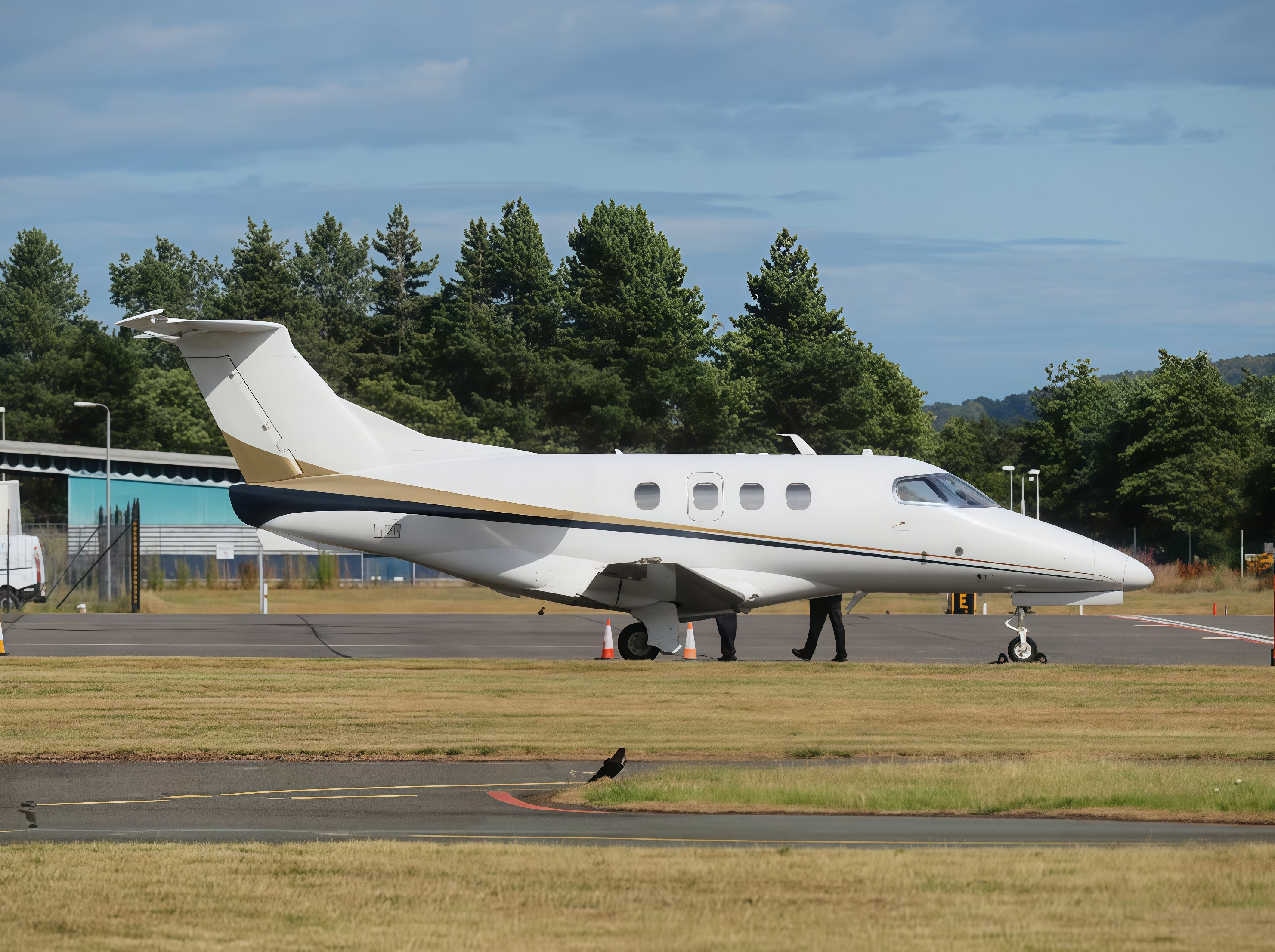 Phenom 100